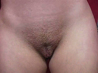 BIG BLACK COCKS